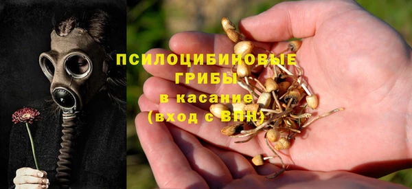 соль ск Нягань
