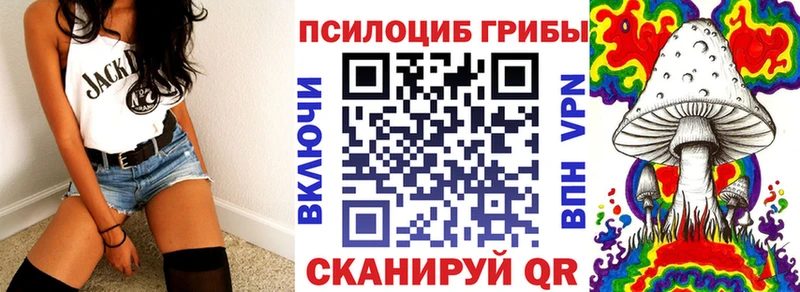 Купить закладки  Кумертау  Псилоцибиновые грибы мухоморы 
